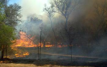 Fire burning in a protected area